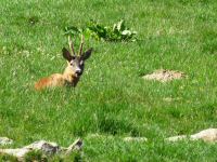 Img_1897bis (Copier).JPG